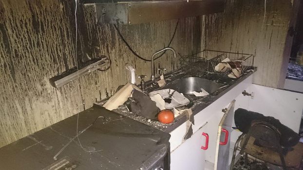 13015512_226931134339716_1332118625629301488_n