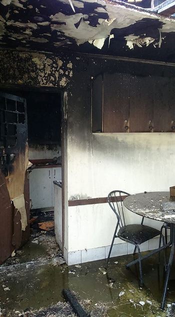 13043693_226930484339781_759819462235818594_n